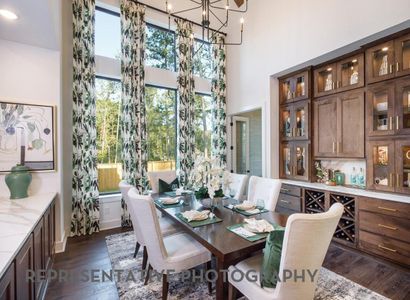 New construction Single-Family house 26716 Stein Ranch Rd, Montgomery, TX 77316 - image 11