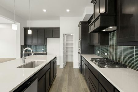 New construction Single-Family house 808 Stone Eagle Dr, Azle, TX 76020 plan Cherry - image 14
