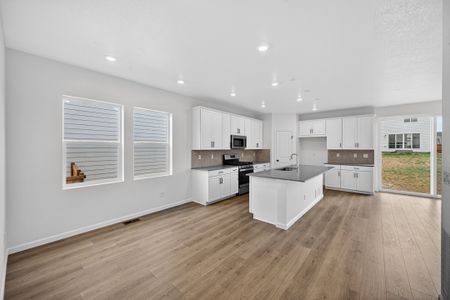 New construction Single-Family house 28405 E 4Th Ave, Watkins, CO 80137 plan Buena Vista - image 4