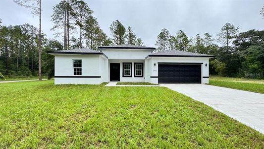 New construction Single-Family house 2456 W Magenta Dr, Citrus Springs, FL 34434 - image