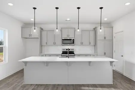 New construction Single-Family house 1007 Toland Dr, St. George, SC 29477 plan The Lenox - image