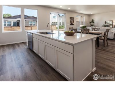 New construction Single-Family house 3002 Biplane St Fort, Fort Collins, CO 80524 Hemingway- photo 14 14