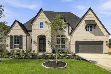 New construction Single-Family house 131 Jubilee Meadow Dr, Willis, TX 77318 plan 272 - image