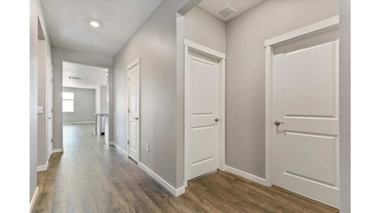 New construction Single-Family house 4562 Cattle Cross Trl, Castle Rock, CO 80104 Chatham- photo 6 6