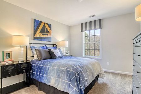 New construction Single-Family house 359 Gothenburg Trl, Summerville, SC 29486 Telfair- photo 19 19