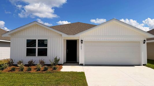 New construction Single-Family house 7063 Merlyn Dethlefsen Rd, Panama City, FL 32404 plan The Freeport - image