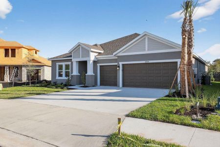 New construction Single-Family house 14234 Sawmill St, Parrish, FL 34219 plan Java - image