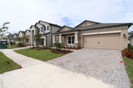 New construction Single-Family house 33227 Amling Pecan Br, Wesley Chapel, FL 33545 Newport II- photo 43 43