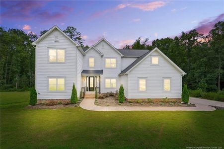 New construction Single-Family house 197 Silverside Dr, Angier, NC 27501 - image