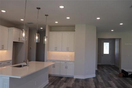 New construction Single-Family house 1032 E Allegrie Dr, Inverness, FL 34453 null- photo 13 13