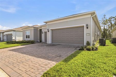 New construction Single-Family house 2531 Pine Preserve Ct, St. Cloud, FL 34771 plan Renown - image
