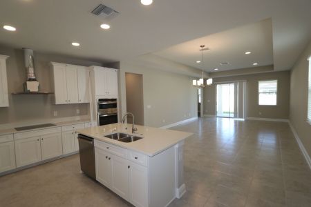 New construction Single-Family house 4763 Beachrose Way, Lakeland, FL 33811 Picasso- photo 54 54