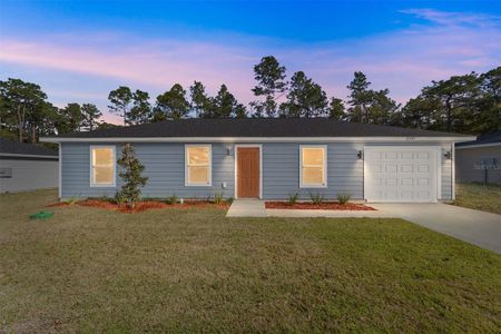 New construction Single-Family house 3250 Se 147Th Ln, Summerfield, FL 34491 - image