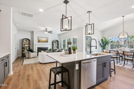 New construction Single-Family house 376 Beacon Hill Rd, Unit 102 Dc, Lillington, NC 27546 - image 16