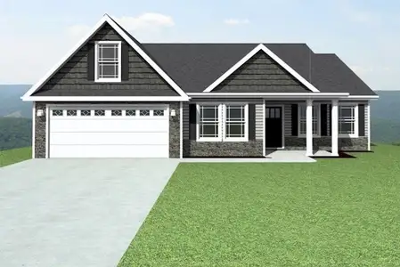 New construction Single-Family house 532 Adventure Isla Wy, Campobello, SC 29322 - image