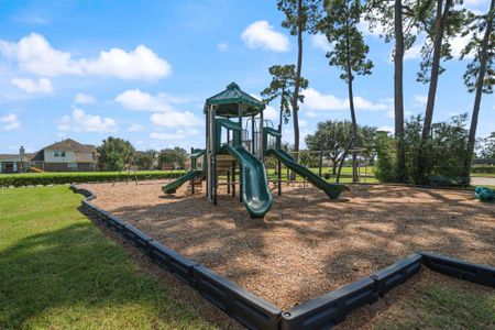 New construction Single-Family house 19206 Wright Fls, Spring, TX 77379 - image 13