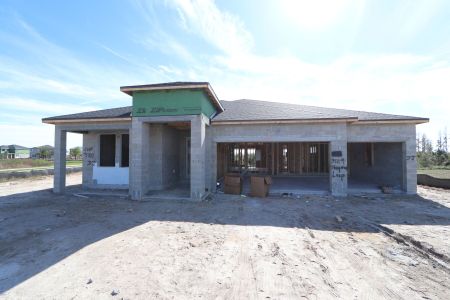 New construction Single-Family house 31119 Hayman Loop, Wesley Chapel, FL 33545 Corina  III- photo 13 13