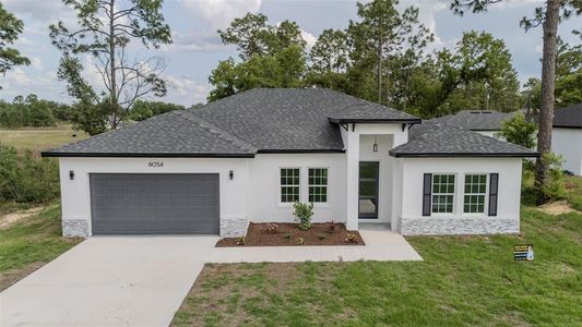 New construction Single-Family house 6054 Sw 154Th Place Rd, Ocala, FL 34473 - image