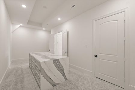 New construction Single-Family house 3907 Water Ash Wy, Fulshear, TX 77441 - image 9