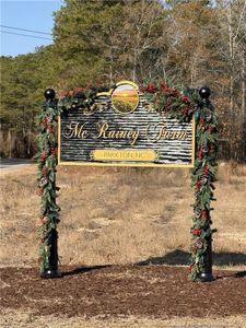 New construction Single-Family house 125 Orchard Ln, Parkton, NC 28371 - image