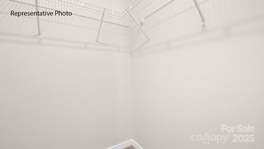 New construction Single-Family house 1036 Horizon Ln, Chester, SC 29706 plan Darwin - image 19