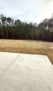 New construction Single-Family house 2341 Fleming Rd, Fuquay Varina, NC 27526 plan Nelson - image 12