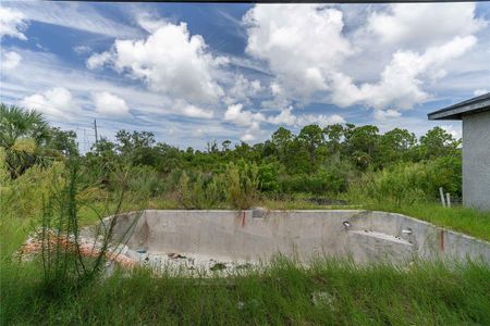 New construction Single-Family house 10303 Redondo St, Port Charlotte, FL 33981 - image
