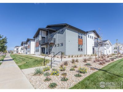 New construction Multi-Family house 2120 Falling Leaf Dr, Unit 8, Windsor, CO 80550 - photo 0