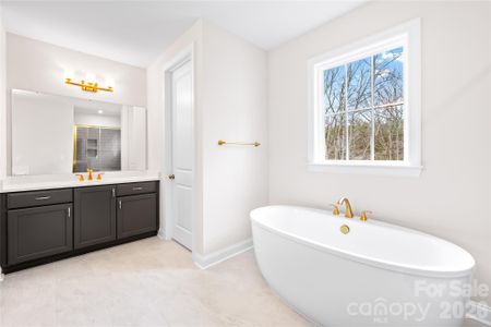 New construction Single-Family house 15718 Sweet Virginia Ln, Unit 56, Huntersville, NC 28078 - image 13