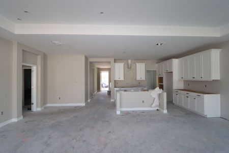 New construction Single-Family house 20050 Oriana Loop, Land O' Lakes, FL 34638 Santa Monica- photo 91 91