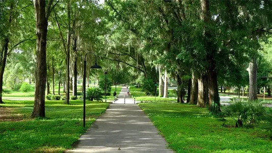 New construction Single-Family house 13125 Sw 9 Rd, Newberry, FL 32669 - image 4