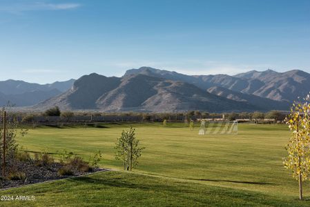 New construction Single-Family house 19341 W San Juan Ave, Litchfield Park, AZ 85340 The Cottonwood- photo 5 5