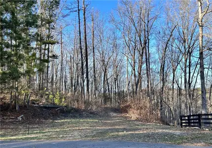 New construction Single-Family house 8555 Woodland Brooke Trl, Cumming, GA 30028 - image