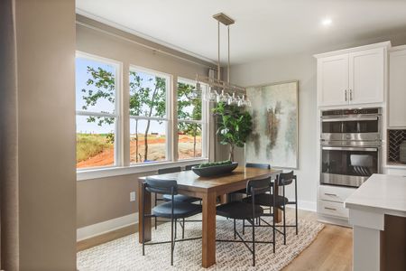 New construction Single-Family house 1205 Anderson Ridge Rd, Greer, SC 29651 plan The Congaree - image 20