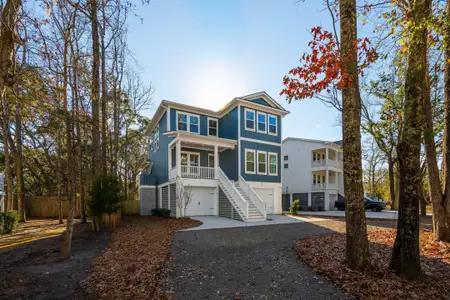 New construction Single-Family house 3653 Pandora Dr, Mount Pleasant, SC 29466 - image