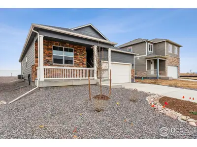 New construction Single-Family house 4725 Singletree Ln, Brighton, CO 80601 plan NEWCASTLE - image