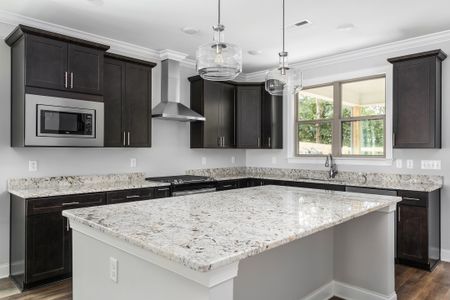 New construction Single-Family house 8366 Hale Rd, Hixson, TN 37343 plan The Hamilton - image 9