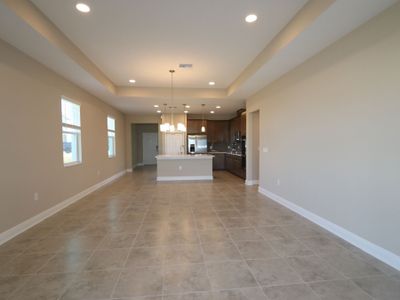 New construction Single-Family house 38357 Palomino Dr, Dade City, FL 33525 Picasso Bonus- photo 64 64