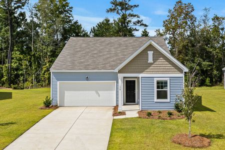 New construction Single-Family house 238 Linares St, Loris, SC 29569 plan Moonbeam - image