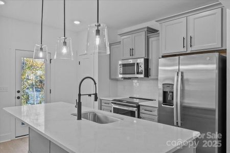 New construction Townhouse house 53 Moon Haven Wy, Arden, NC 28704 plan Litchfield - image 14