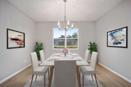 New construction Single-Family house 1115 Nw 45Th Pl, Ocala, FL 34475 plan Republic - image 8