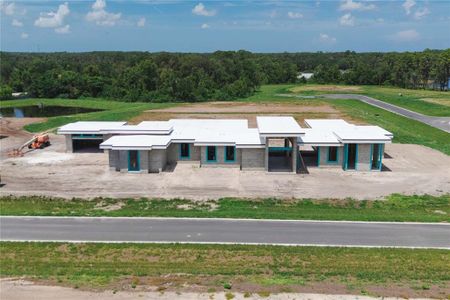 New construction Single-Family house 19211 Gunn Hwy, Odessa, FL 33556 plan Darsh - image