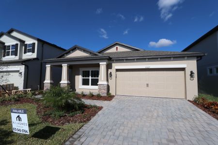 New construction Single-Family house 33227 Amling Pecan Br, Wesley Chapel, FL 33545 Newport II- photo 120 120