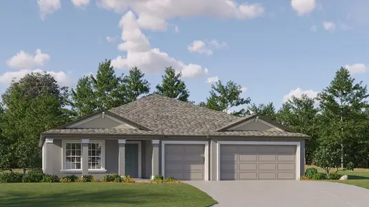 New construction Single-Family house 13520 New Jade Ave, Wimauma, FL 33598 plan Phoenix - image