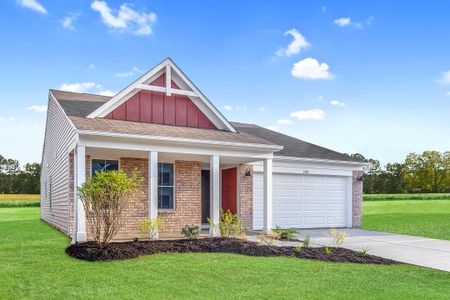 New construction Single-Family house 102 Cherry Glen, Euharlee, GA 30145 - photo 0