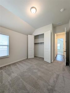 New construction Single-Family house 3934 Timberview St, Midlothian, TX 76065 plan Premier Series - Juniper - image 13