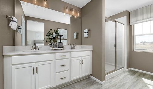 New construction Single-Family house 24193 E 39Th Ave, Aurora, CO 80019 plan Coral - image 10