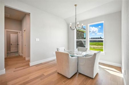 New construction Single-Family house 1114 Silver Sage Trl, Weatherford, TX 76085 - image 7