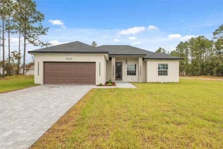 New construction Single-Family house 5100 Sw 155Th Lp, Ocala, FL 34473 - image
