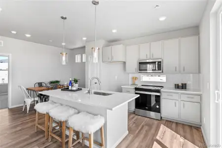 New construction Single-Family house 46593 Sunflower Ln, Bennett, CO 80102 - image